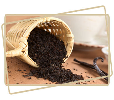 java burn reviews
