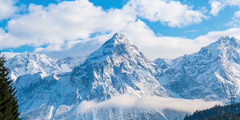Alpilean Vs Alpine Ice Hack: Differences Revealed