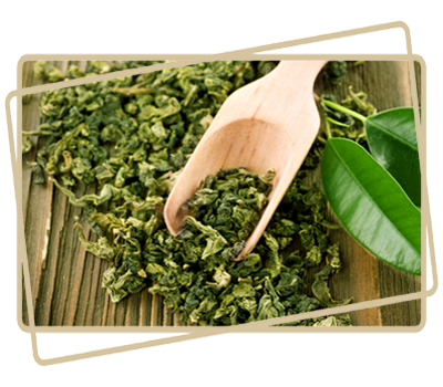 java burn reviews