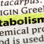 7 Ways to Speed Up Slow Metabolism in the Morning