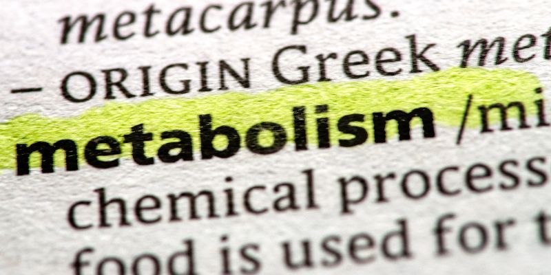 7 Ways to Speed Up Slow Metabolism in the Morning