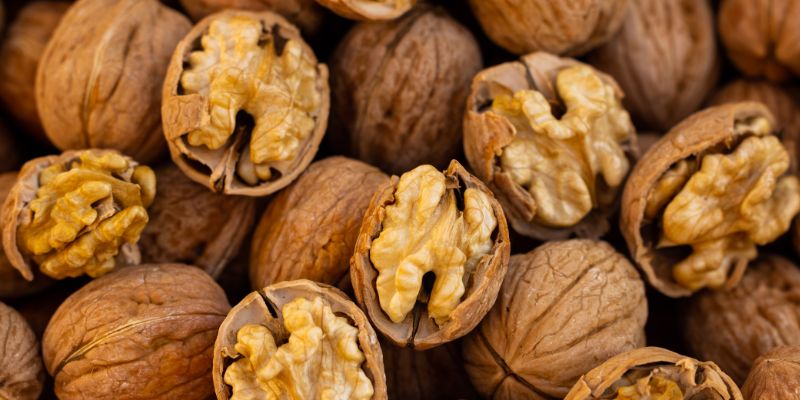 41 Best High Protein Snacks for Weight Loss (2025)