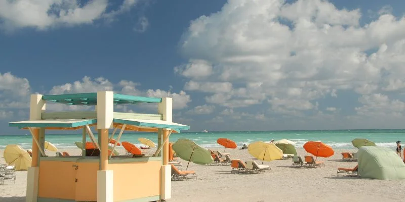 vegetables you can eat on south beach