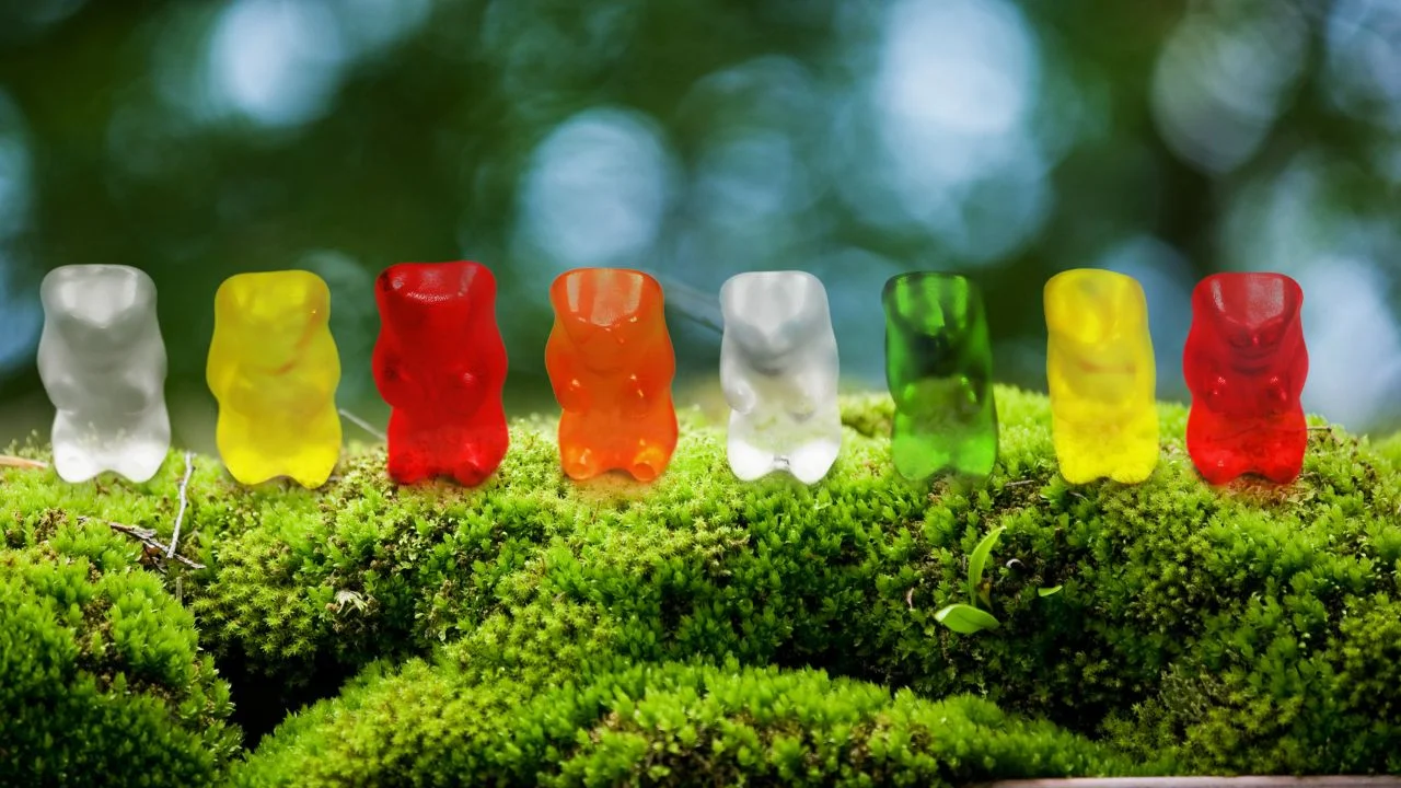 can sea moss gummies help with weight loss