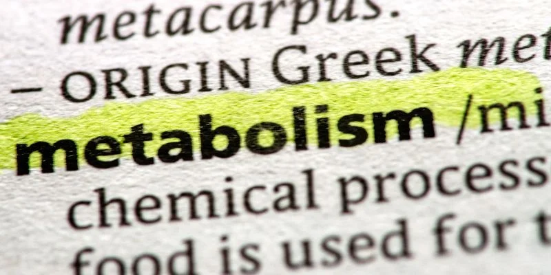 speed up slow metabolism in the morning